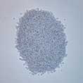 PET sabic TC 183